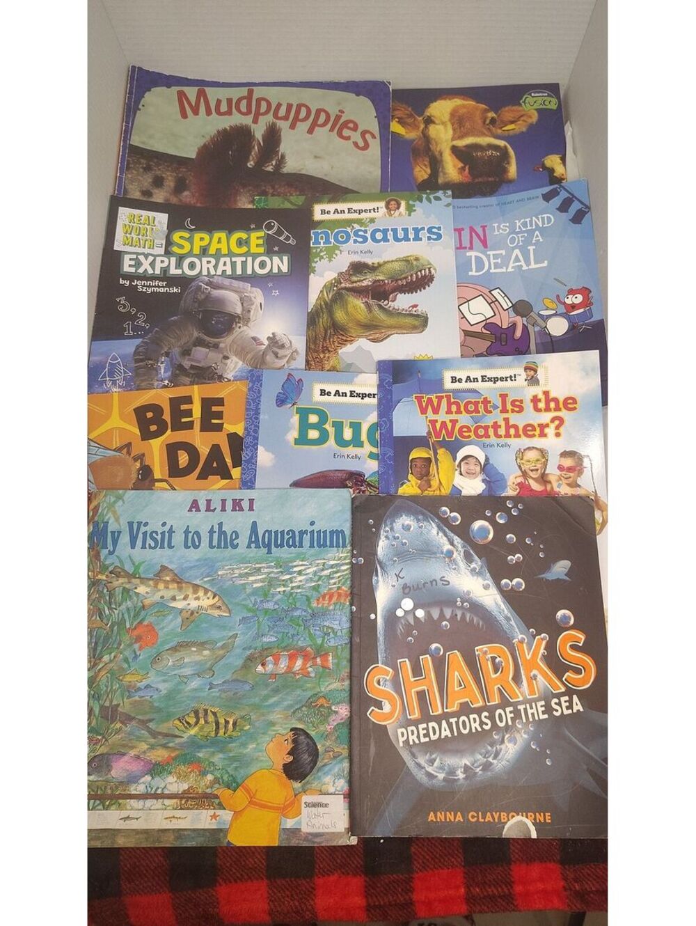 10 Scholastic Kids Nonfiction Book Lot Science Animals Space Weather Bugs
